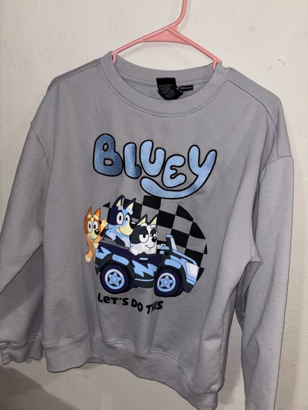 Bluey Men's Graphic Sweatshirt~Let's Do This~Long Sleeves~Size S
